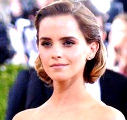  Emma Watson at the MetGala May 2, 2016 (HQs)