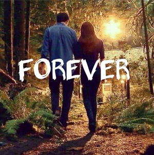  Forever