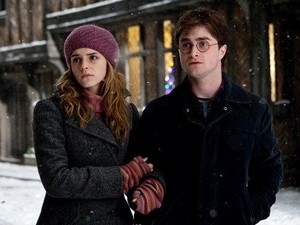  Harry and Hermione in HP7 Part 1 Promotional Stills
