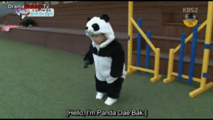  Panda Dae Bak :)
