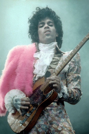  Prince Rogers Nelson