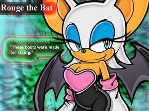  Rouge the Bat