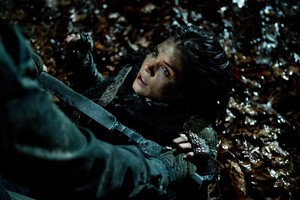  The 100 "Nevermore" (3x11) promotional picture