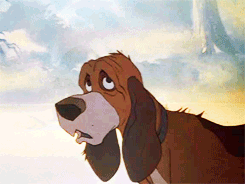  The soro and the Hound gifs