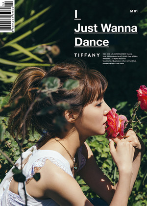  Tiffany I Just Wanna Dance Teasers