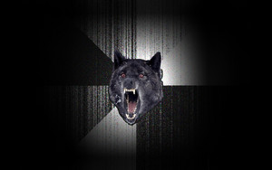  insanity serigala, wolf
