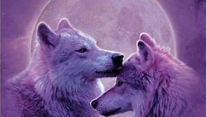 other moonwolves loups animaux painting moon nature loup 53 pictures