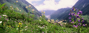  valley of 花 banner