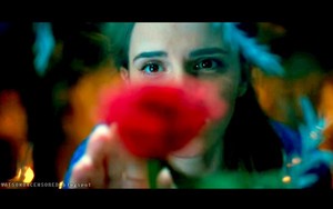  Beauty and the beast trailer