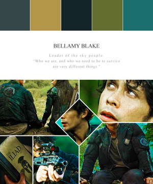  Bellamy