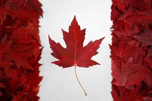  Canada Flag