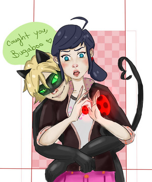 Chat Noir and Marinette
