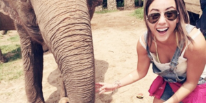  Chloe and Elephants