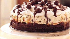  Chocolate Malt Ice Cream Cake