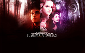  Harry Potter achtergronden ♥