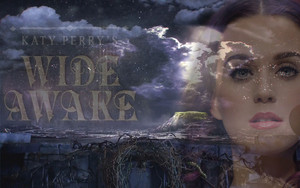  Katy Perry-Wide Awake