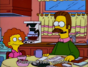  Ned Flanders