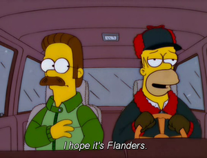  Ned Flanders