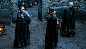  Sansa Stark Season 6