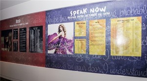  Taylor rapide, swift Experience GRAMMY Museum