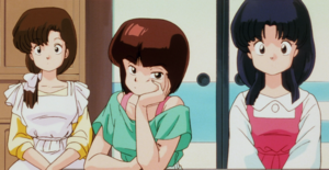  Tendo Sisters (Ranma ½) Kasumi, Nabiki, and Akane.