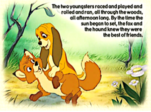  The cáo, fox and the hound book