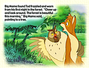  The fox, mbweha and the hound book