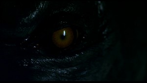  Werewolf Eye