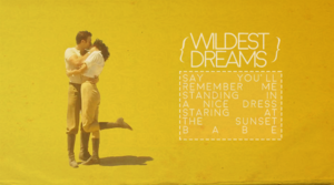  Wildest Dreams