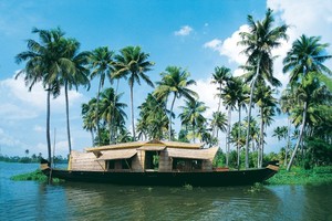  kerala backwaters greenery small