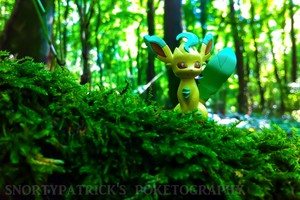  Pokémon Photography: Leafeon