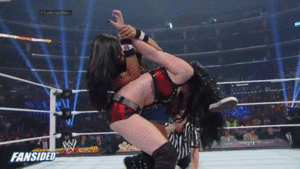  AJ Lee vs. Paige