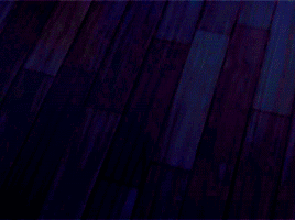  Adrien/Chat Noir