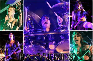 BVB by Inside Edge Photography