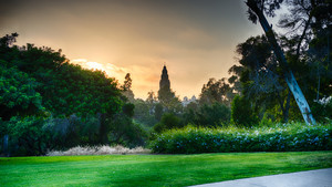  Balboa Park Sunset