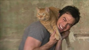  Ian Somerhalder and his cat