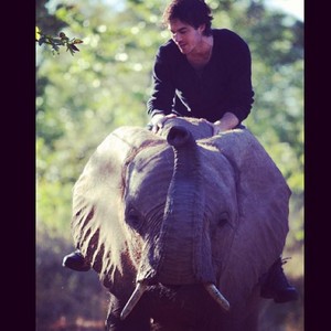  Ian Somerhalder riding an gajah