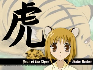  Kisa the anno of the tiger