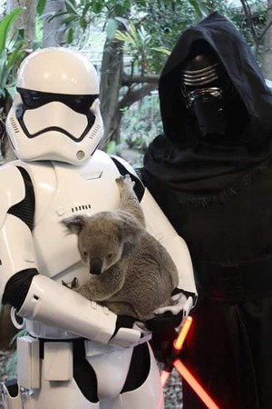 Kylo Ren and a Stormtrooper with a koala bear