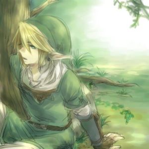 Link in a forest