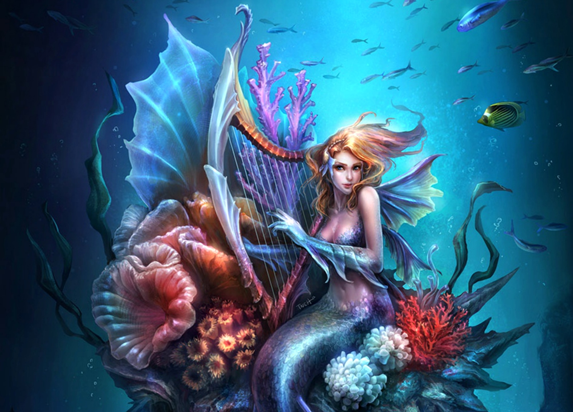 Mermaid - Fantasy Wallpaper (39777517) - Fanpop