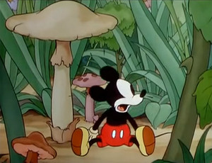  Mickey's Garden