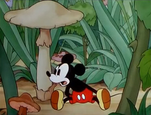  Mickey's Garden