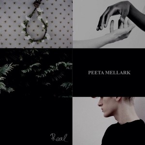  Peeta Mellark