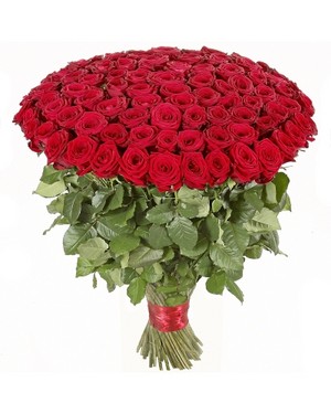  Red Rose Bouquet in Bengalore