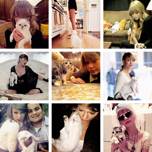  Taylor and CAts
