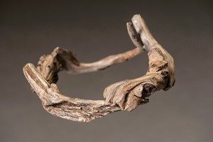  The Driftwood Crown