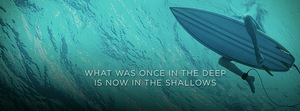  The Shallows Banner