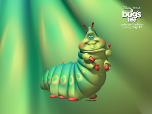  A Bugs Life