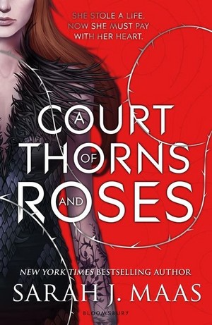  A Court of Thorns and 玫瑰 cover 2